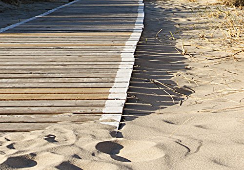 murando Bilder 135x45 cm - Leinwandbilder - Fertig Aufgespannt - Vlies Leinwand - 1 Teilig - Wandbilder XXL - Kunstdrucke - Wandbild - Landschaft Strand Meer Sand Himmel Gras Urlaub Wolke Bretter blau 030212-83 - 5