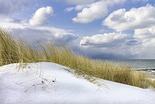 Artland Qualitätsbilder I Bild auf Leinwand Leinwandbilder Wandbilder 60 x 40 cm Landschaften Küste Foto Blau C6LR Winter an der Küste der Ostsee